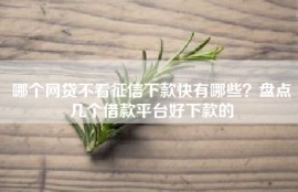 哪个网贷不看征信下款快有哪些？盘点几个借款平台好下款的