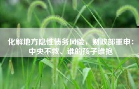 化解地方隐性债务风险，财政部重申：中央不救、谁的孩子谁抱