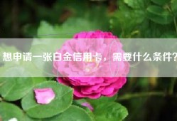 想申请一张白金信用卡，需要什么条件？