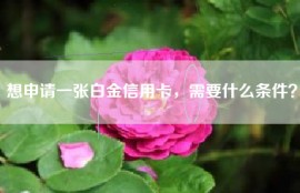 想申请一张白金信用卡，需要什么条件？