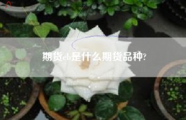 期货eb是什么期货品种?