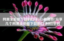 网黑全拒能下款的口子2022有哪些?分享几个网黑全拒能下款的口子2022平台