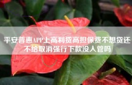 平安普惠APP上高利贷高担保费不想贷还不给取消强行下款没人管吗