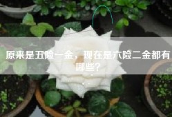 原来是五险一金，现在是六险二金都有哪些？