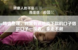 精选整理，网黑有逾期能下款的口子借款口子一览表，拿走不谢