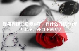 如果你现在负债30万，有什么办法能1年内上岸，并且不逾期？