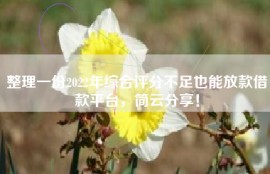 整理一份2022年综合评分不足也能放款借款平台，简云分享！