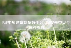 P2P中贝财富网贷好平台  风控是中贝互联的核心