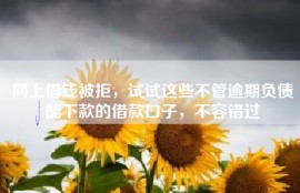 网上借钱被拒，试试这些不管逾期负债能下款的借款口子，不容错过