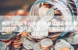 有什么借款平台是2022不查征信无视负债的网贷？这几个就是2022不查征信无视负债的网贷