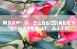 网贷名单一览，怎么查自己的身份证有没有被贷款借款口子，拿走不谢