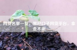 网贷名单一览，黑户口子网贷平台，拿走不谢
