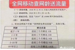 目前移动最划算的流量套餐是哪个？