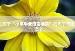 关于“小学毕业留言唯美”的句子有哪些？