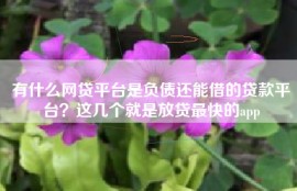 有什么网贷平台是负债还能借的贷款平台？这几个就是放贷最快的app