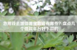 急用钱去哪借哪里靠谱有哪些？盘点几个借款平台好下款的