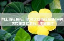 网上借钱被拒，试试这些借钱应急3000微信转账贷款平台，不容错过