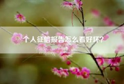 个人征信报告怎么看好坏？