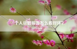 个人征信报告怎么看好坏？