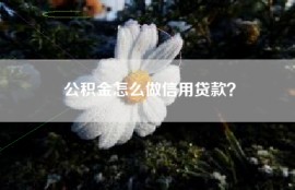 公积金怎么做信用贷款？