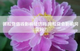 微粒贷借钱影响征信吗,微粒贷会影响房贷吗？