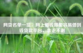 网贷名单一览，网上借钱哪里容易借到钱贷款平台，拿走不谢