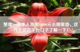 整理一份本人急需10000元去哪里借，这几个贷款平台口子了解一下！