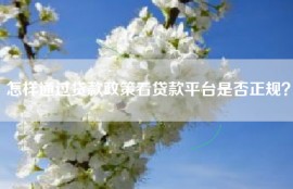 怎样通过贷款政策看贷款平台是否正规？