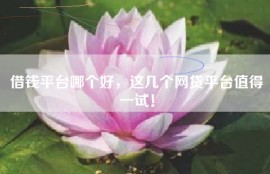 借钱平台哪个好，这几个网贷平台值得一试！