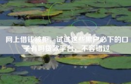 网上借钱被拒，试试这些黑户必下的口子有吗贷款平台，不容错过