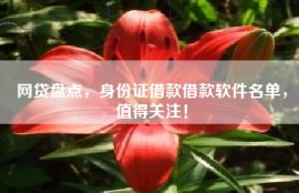 网贷盘点，身份证借款借款软件名单，值得关注！