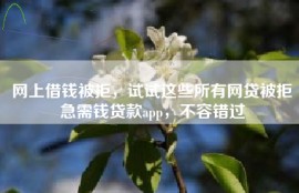 网上借钱被拒，试试这些所有网贷被拒急需钱贷款app，不容错过