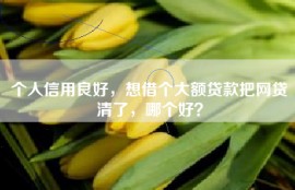 个人信用良好，想借个大额贷款把网贷清了，哪个好？