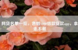 网贷名单一览，急借1000借款贷款app，拿走不谢