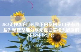 2022无视黑白100%秒下网贷网贷口子有哪些？精选整理分享无视征信和大数据的贷款贷款平台