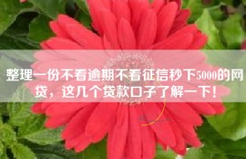 整理一份不看逾期不看征信秒下5000的网贷，这几个贷款口子了解一下！