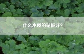什么木质的砧板好？