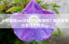 小额借钱2000贷款平台有哪些？精选整理分享几个网贷app