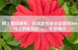 网上借钱被拒，试试这些身份证借钱5000马上到账贷款app，不容错过