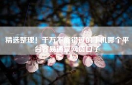 精选整理！千万不能错过的手机哪个平台容易通过网贷口子