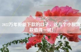 2022万年拒能下款的口子，这几个小额贷款值得一试！