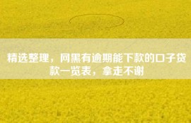 精选整理，网黑有逾期能下款的口子贷款一览表，拿走不谢