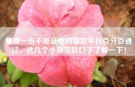 整理一份不查征信的借款平台百分百通过，这几个小额贷款口子了解一下！