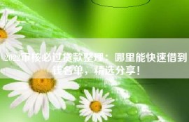 2022审核必过贷款整理：哪里能快速借到钱名单，精选分享！