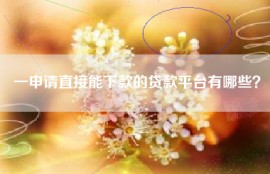 一申请直接能下款的贷款平台有哪些？