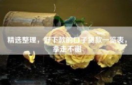 精选整理，好下款的口子贷款一览表，拿走不谢