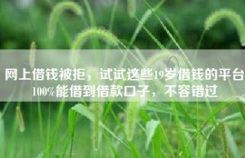 网上借钱被拒，试试这些19岁借钱的平台100%能借到借款口子，不容错过