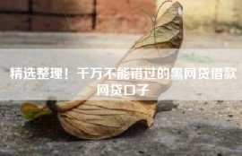 精选整理！千万不能错过的黑网贷借款网贷口子