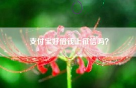 支付宝好借钱上征信吗？