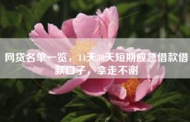 网贷名单一览，14天30天短期应急借款借款口子，拿走不谢